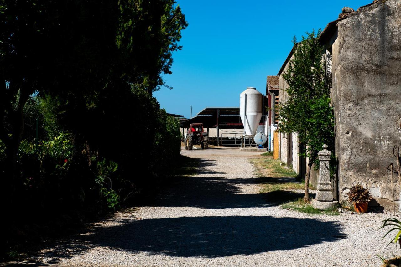 Dimora Iannelli - B&B Rurale Paestum Exterior foto